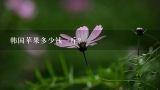 韩国苹果多少钱一斤？现在，韩国卖牛肉多少钱一斤？