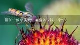 浙江宁波慈溪野生黄鳝多少钱一斤？苏州野生黄鳝多少钱一斤？