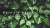 榴莲多少钱一斤，榴莲怎么挑,猫山王榴莲很贵吗？