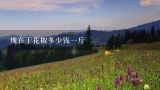 现在干花椒多少钱一斤,2020年的干花椒能卖多少钱一斤？
