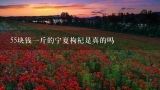 55块钱一斤的宁夏枸杞是真的吗,真正的宁夏枸杞要多少钱一斤