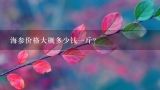 海参价格大概多少钱一斤？海参多少钱一斤