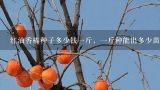 红油香椿种子多少钱一斤，一斤种能出多少苗？香椿芽顶四斤肉，一般人吃不起，香椿苗菜多少钱一斤