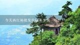今天西红柿批发价格多少钱一斤？为什么最近蔬菜这么贵啊