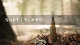 雪山黄龙茶能长期喝吗,雪山黄龙茶冬天能喝吗