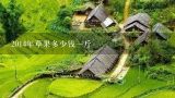 2014年草果多少钱一斤,2016年8月份草果价格是多少钱一斤