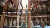 哪里有收购芦荟多少钱一斤,生芦荟在市场收购是多少钱一斤？