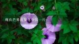 现在芒果批发多少钱一斤,海南哪里芒果批发最便宜