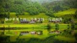 静宁苹果十月三号多少钱一斤请回答,甘肃静宁苹果价格多少一斤