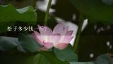 松子多少钱一斤？内蒙古松子多少钱1斤？