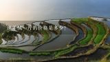 纯羊绒一斤的价格是多少?纯羊绒多少钱一斤