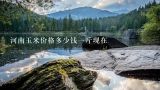 河南玉米价格多少钱一斤现在
