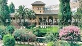 北京超市现1049元1斤“天价荔枝”！此荔枝与普通荔,北京1049元一斤荔枝已卖空！什么人会买这么贵的荔枝
