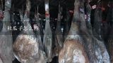 杜瓜子怎么样,杜瓜子有什么作用