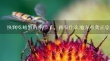 快到吃螃蟹的季节了，西安什么地方有卖正宗的阳澄湖大闸蟹？现在螃蟹大约多少钱一斤