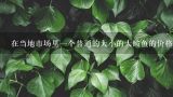 在当地市场里一个普通的大小的大鲅鱼的价格是多少？
