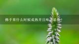 佛手果什么时候成熟并且味道最佳？