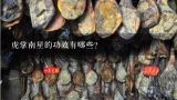虎掌南星的功效有哪些？