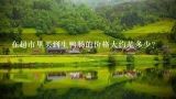 在超市里买到生鸭肠的价格大约是多少？