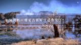 如何判断田螺是否新鲜且适合烹饪？