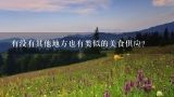 有没有其他地方也有类似的美食供应？