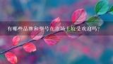 有哪些品牌和型号在市场上较受欢迎吗？