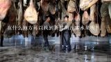 在什么地方可以找到新鲜的莲雾水果呢？