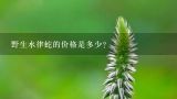 野生水律蛇的价格是多少？