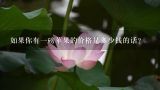 如果你有一磅苹果的价格是多少钱的话？