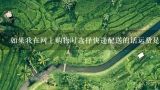 如果我在网上购物时选择快递配送的话运费是多贵呢？