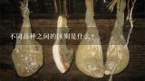 不同品种之间的区别是什么？