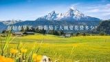 在超市里买一颗葡萄干大概要花费多少？