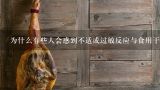 为什么有些人会感到不适或过敏反应与食用干的甜叶菊有关系呢？