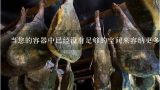 当您的容器中已经没有足够的空间来容纳更多容县沙田柚时该怎么办？