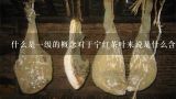 什么是一级的概念对于宁红茶叶来说是什么含义？