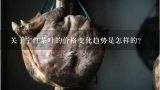 关于宁红茶叶的价格变化趋势是怎样的？
