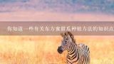 你知道一些有关东方蜜甜瓜种植方法的知识点吗？