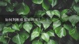 如何判断质量好坏呢？
