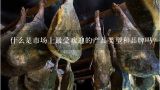 什么是市场上最受欢迎的产品类型和品牌吗？