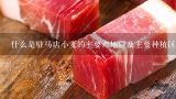 什么是驻马店小麦的主要产地以及主要种植区域是哪里？