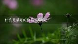 什么是最好的价格策略吗？