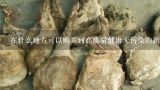 在什么地方可以购买到高质量健康无污染的新鲜黑麦草籽？