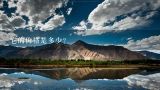 它的价格是多少？