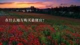 在什么地方购买最便宜？