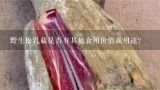 野生松乳菇是否有其他食用价值或用途？