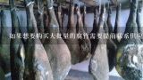 如果想要购买大批量的腐竹需要提前联系供应商还是可以随时下单呢？