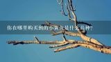 你在哪里购买到的小黄鱼是什么品种？
