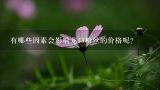 有哪些因素会影响龙口粉丝的价格呢？