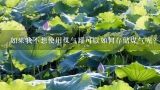 如果我不想使用煤气罐可以如何存储煤气呢？