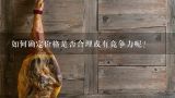 如何确定价格是否合理或有竞争力呢？